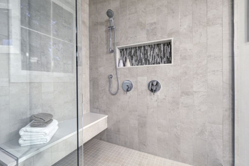Shower Niche and Shelf Ideas